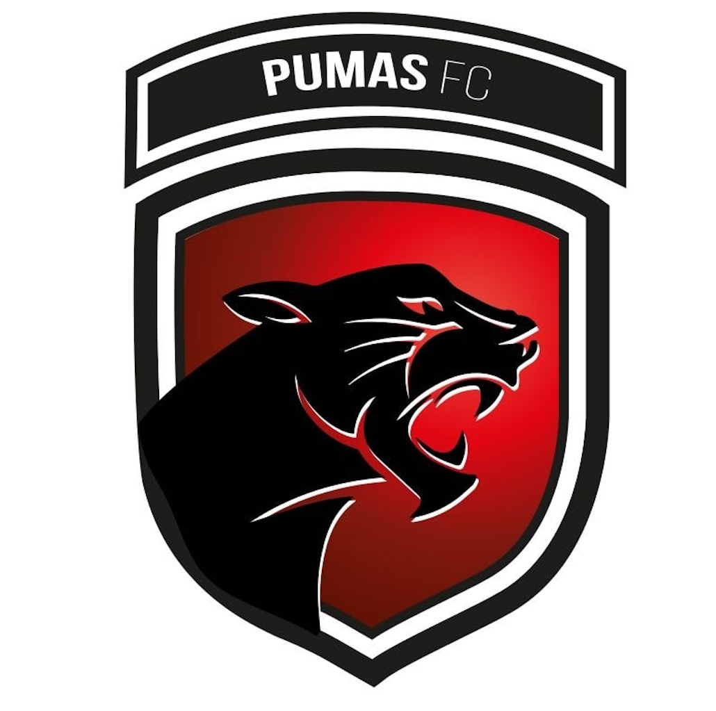 Linces de Rincón de Tamayo